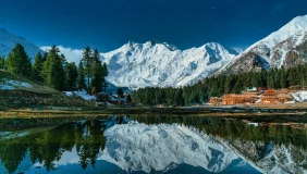 Fairy Meadows